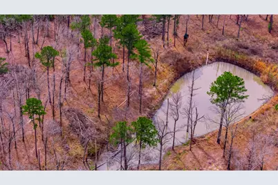 148 Private Road 8033, Crockett, TX 75835 - Photo 5