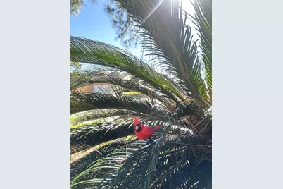 3118 Flatwood Court, Pearland, TX 77584 - Photo 35