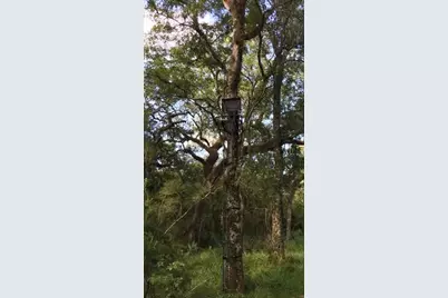 0 Private Road 648 Street, Cedar Lake, TX 77414 - Photo 9