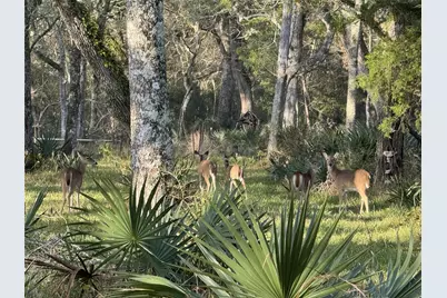 0 Private Road 648 Street, Cedar Lake, TX 77414 - Photo 3