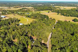 42 Blythe Ranch Rd, Huntsville, TX 77320 - Photo 9