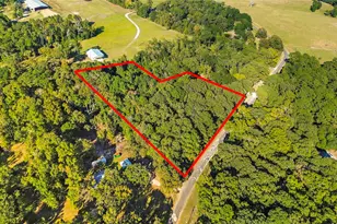 42 Blythe Ranch Rd, Huntsville, TX 77320 - Photo 3