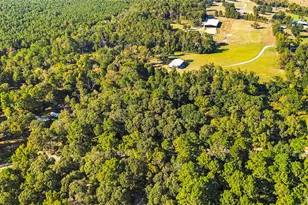 42 Blythe Ranch Rd, Huntsville, TX 77320 - Photo 11