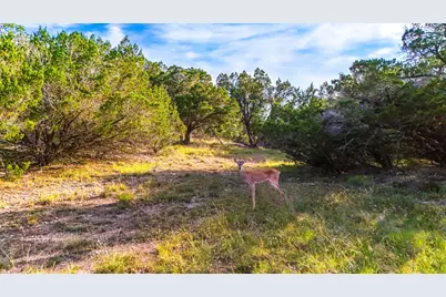 2171 Stagecoach Way, Canyon Lake, TX 78133 - Photo 15