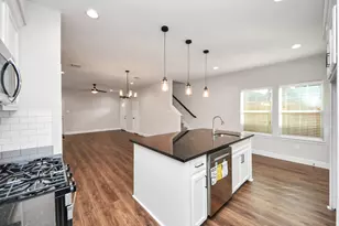 6910 J W Peavy Dr, Houston, TX 77011 - Photo 15