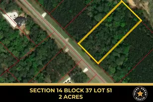 14-37-51 Larkspur Ln, New Waverly, TX 77358 - Photo 1