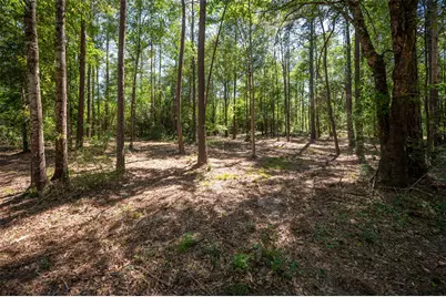 Tbd County Road 4472, Warren, TX 77664 - Photo 5