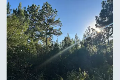 [Address not provided], Lovelady, TX 77854 - Photo 5