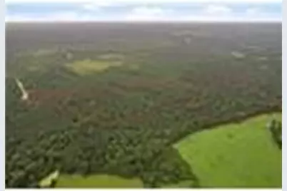 [Address not provided], Lovelady, TX 77854 - Photo 7