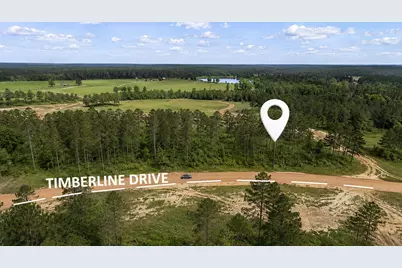 000 Timberline Dr, Hillister, TX 77624 - Photo 1