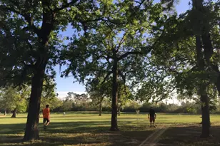 954 Fisher St, Houston, TX 77018 - Photo 39