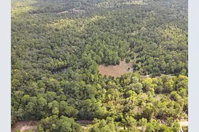 Tbd The Woods Rd Lot 46 Road, Coldspring, TX 77331 - Photo 3