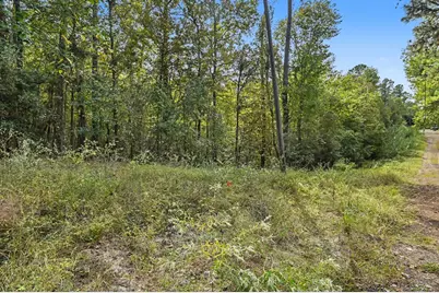 Tbd The Woods Rd Lot 46 Road, Coldspring, TX 77331 - Photo 11