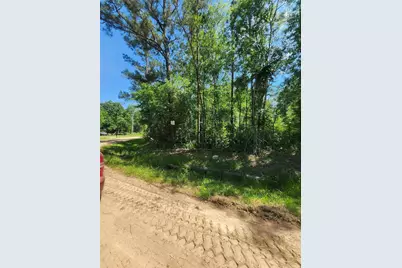 03 Cindy Lane, Shepherd, TX 77371 - Photo 3