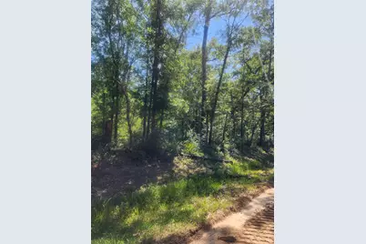 03 Cindy Lane, Shepherd, TX 77371 - Photo 5