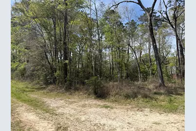 Tbd White Oak Drive, Conroe, TX 77306 - Photo 3