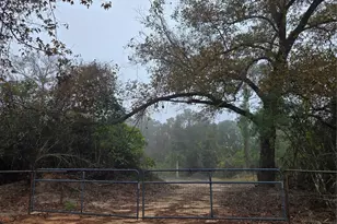 1017 County Rd 3325, Colmesneil, TX 75938 - Photo 1