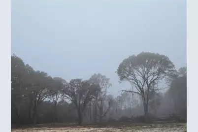 1017 County Road 3325, Colmesneil, TX 75938 - Photo 5