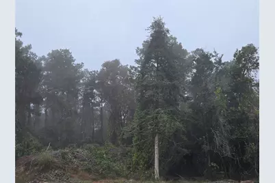 1017 County Road 3325, Colmesneil, TX 75938 - Photo 7