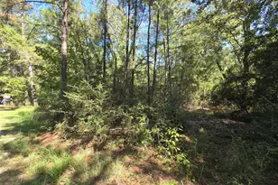 50 51 52 Burrow Ln, Brookeland, TX 75931 - Photo 7