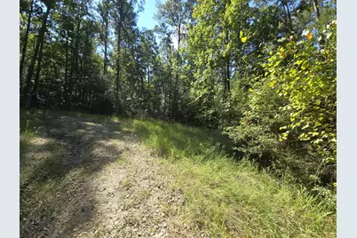 50, 51, 52 Burrow Lane, Brookeland, TX 75931 - Photo 5