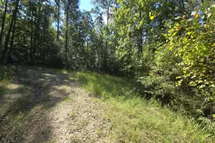 50 51 52 Burrow Ln, Brookeland, TX 75931 - Photo 5