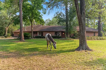 9809 Neuens Road, Houston, TX 77080 - Photo 1