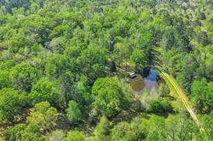 235 County Barn Rd, Lufkin, TX 75904 - Photo 47