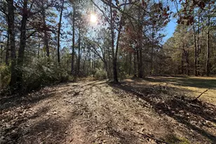 397 Co Rd 2117, Cleveland, TX 77327 - Photo 41