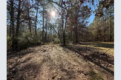 397 County Road 2117, Cleveland, TX 77327 - Photo 41