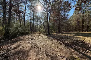 397 Co Rd 2117, Cleveland, TX 77327 - Photo 41