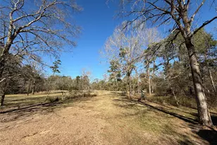 397 Co Rd 2117, Cleveland, TX 77327 - Photo 45