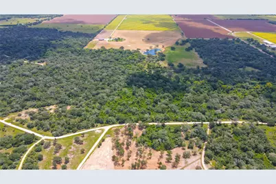 Tbd Dewberry Lane, Louise, TX 77455 - Photo 13