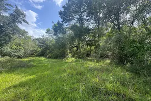 Tbd Dewberry Ln, Louise, TX 77455 - Photo 1