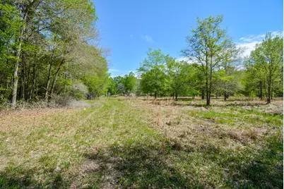 24897 Rainbow Lane, New Caney, TX 77357 - Photo 23