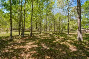 24897 Rainbow Ln, New Caney, TX 77357 - Photo 17