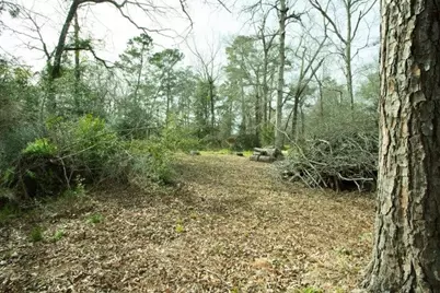 15050 Cardinal Trail, Conroe, TX 77302 - Photo 5