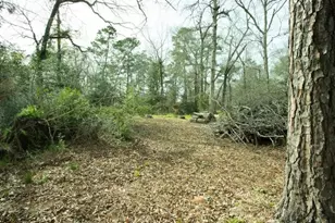 15050 Cardinal Trail, Conroe, TX 77302 - Photo 5