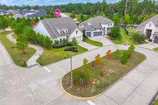 10 Fringetree Bark Ct, The Woodlands, TX 77375 - Photo 3