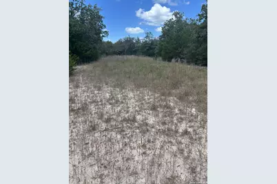 207 Charcoal Company Lane, Muldoon, TX 78949 - Photo 3