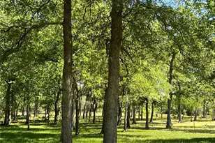 4901 County Rd 216, Hungerford, TX 77435 - Photo 35