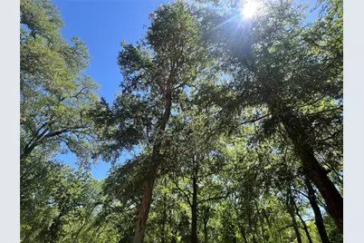 4901 County Road 216, Hungerford, TX 77435 - Photo 33