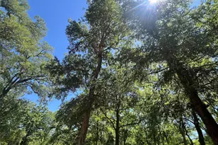 4901 County Rd 216, Hungerford, TX 77435 - Photo 33