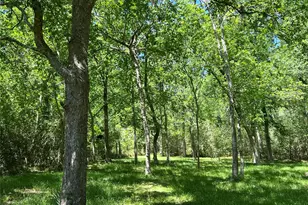 4901 County Rd 216, Hungerford, TX 77435 - Photo 31