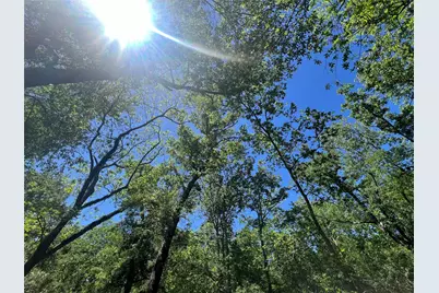 4901 County Road 216, Hungerford, TX 77435 - Photo 45