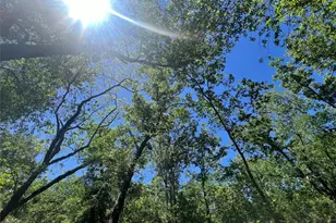 4901 County Rd 216, Hungerford, TX 77435 - Photo 45