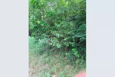 14388 Baxter Road, Conroe, TX 77306 - Photo 7