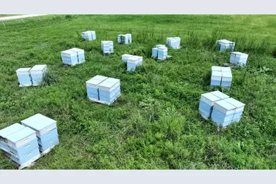 710 Heller Road, Anahuac, TX 77514 - Photo 3