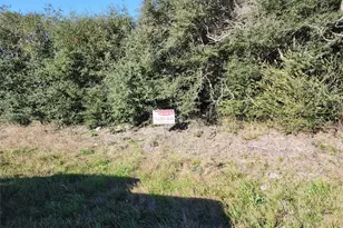 0 Cochran, Waller, TX 77484 - Photo 1