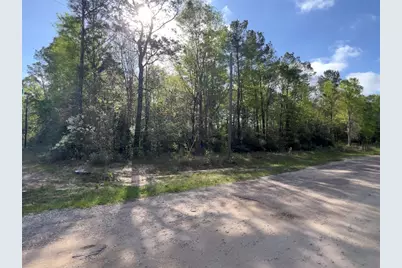 25468 Cambridge Boulevard, New Caney, TX 77357 - Photo 5